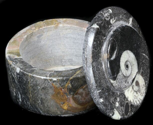 Small Fossil Goniatite Jar (Black) - Stoneware #38017